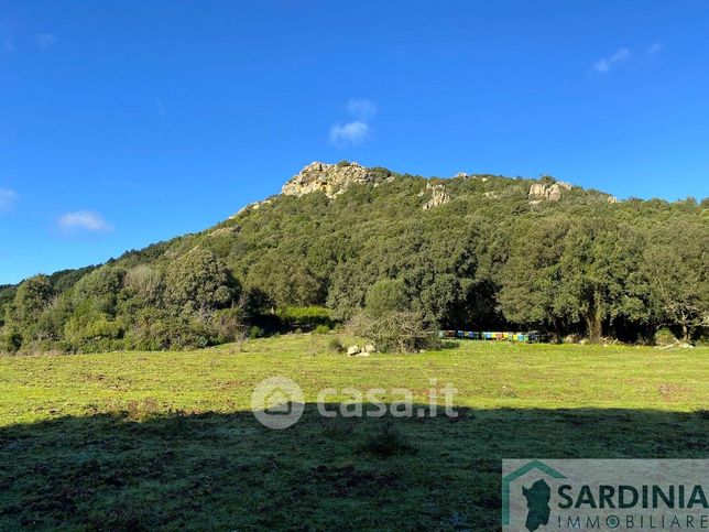 Terreno agricolo in commerciale in San Biagio