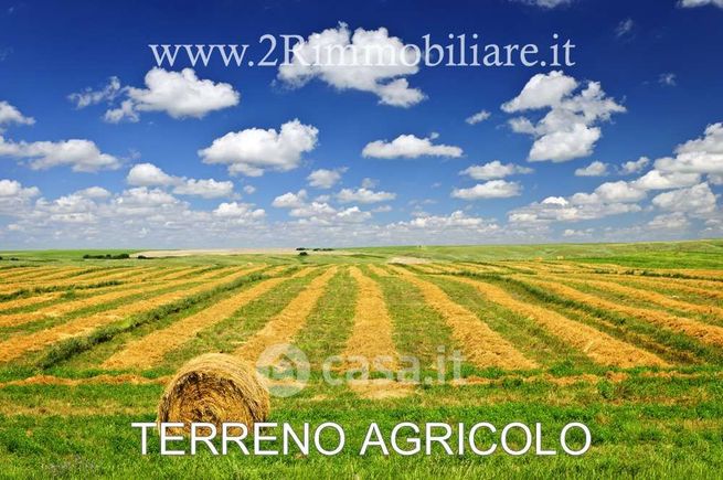 Terreno agricolo in commerciale in Strada Statale 115