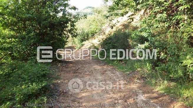 Terreno agricolo in commerciale in Strada Provinciale 248 di Luzzi