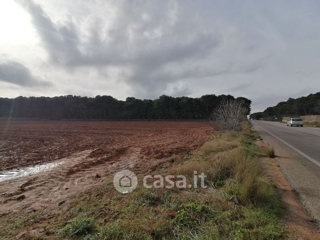 Terreno agricolo in commerciale in Strada Provinciale Casarano - Maglie