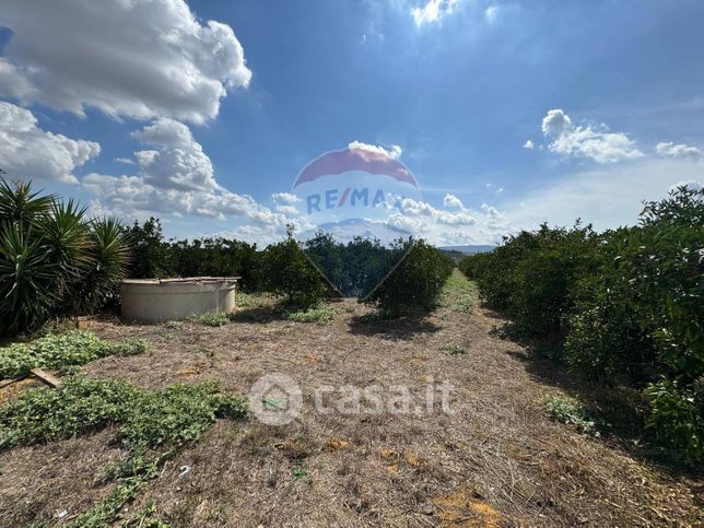 Terreno agricolo in commerciale in Piazza Umberto 1