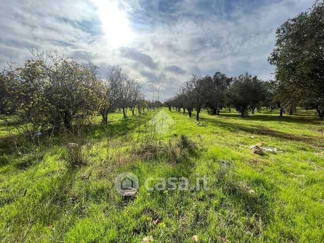 Terreno agricolo in commerciale in Contrada Computista 22