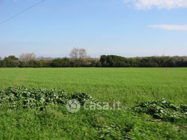 Terreno agricolo in commerciale in 