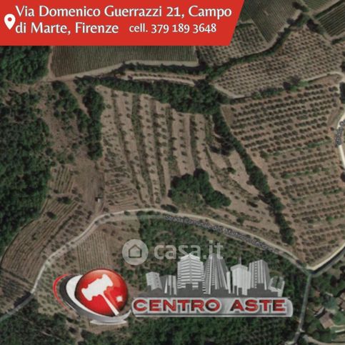 Terreno agricolo in commerciale in Via San Martino in Cecione