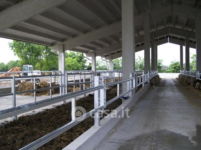 Terreno agricolo in commerciale in Strada Bucoliche