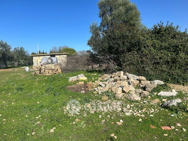Terreno agricolo in commerciale in Contrada Samperi