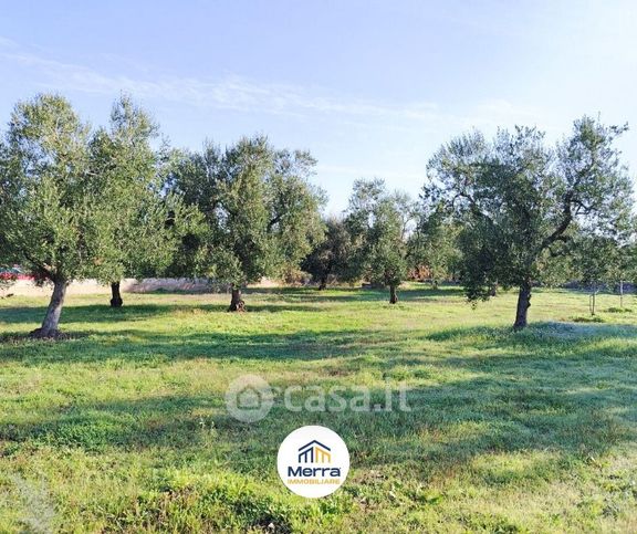 Terreno agricolo in commerciale in Strada Esterna Viale Capricciosa