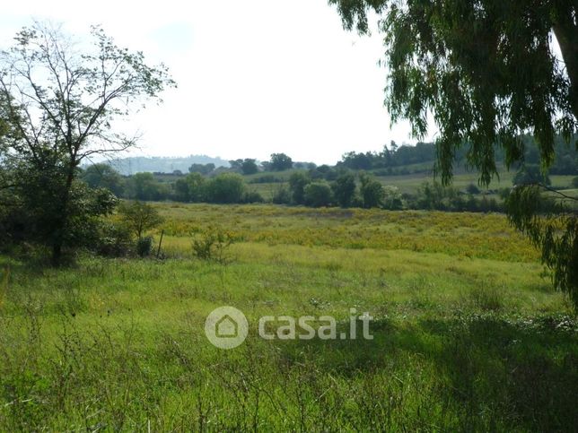 Terreno agricolo in commerciale in LocalitÃ  Castellaccia