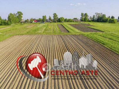 Terreno agricolo in commerciale in 