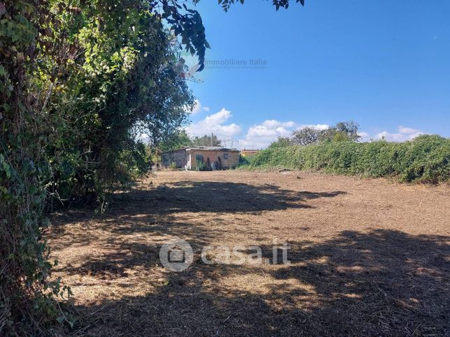 Terreno agricolo in commerciale in Via delle Orchidee