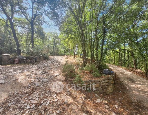 Terreno agricolo in commerciale in Strada Provinciale 380