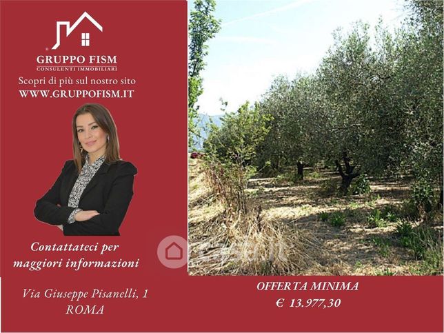 Terreno agricolo in commerciale in Via Trento