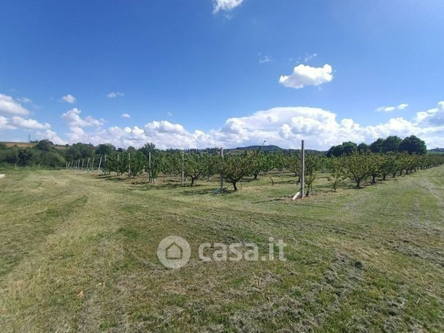 Terreno agricolo in commerciale in Via Motta 11