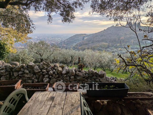 Terreno agricolo in commerciale in Via Cà Nove Ronchi 5 G