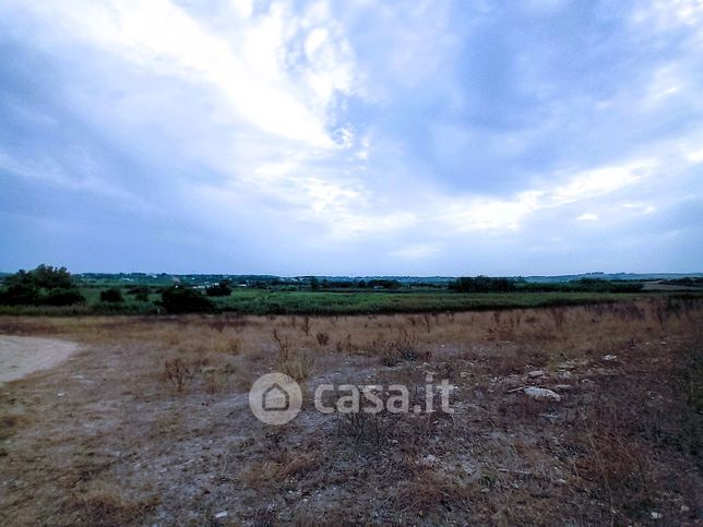 Terreno agricolo in commerciale in SP 60