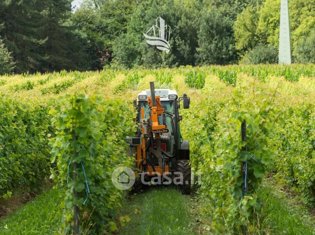 Terreno agricolo in commerciale in Trutsch