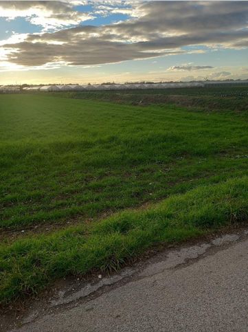 Terreno agricolo in commerciale in Località Cioffi