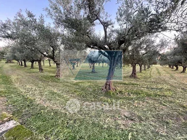 Terreno agricolo in commerciale in Strada Carancino