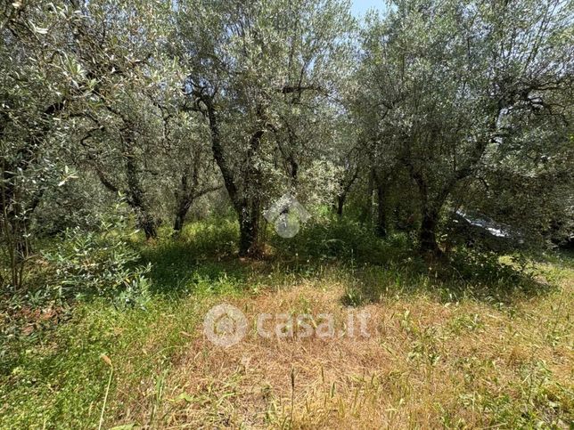 Terreno agricolo in commerciale in Via Capitonese