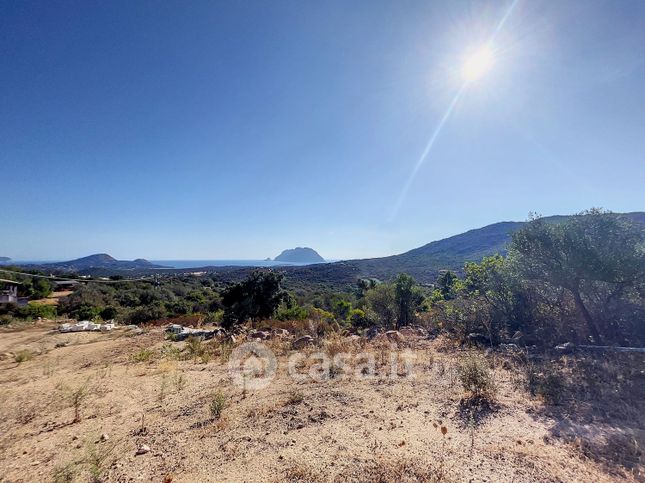 Terreno agricolo in commerciale in Pedra Longa