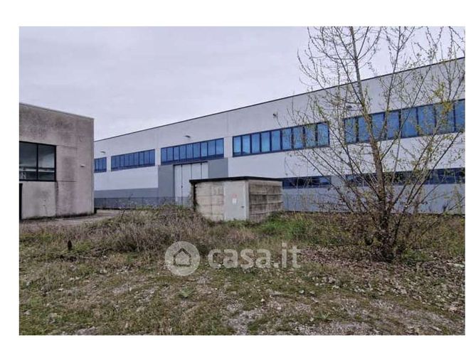 Terreno agricolo in commerciale in Via Massiago