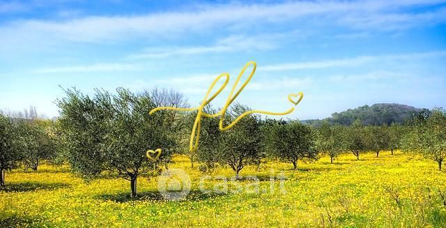 Terreno agricolo in commerciale in LocalitÃ  Fagiolaia
