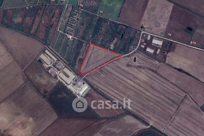 Terreno agricolo in commerciale in Strada Senza Nome
