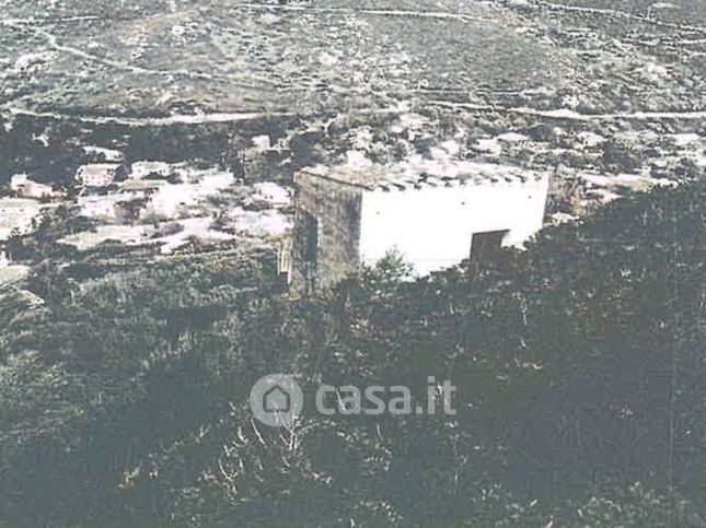 Terreno agricolo in commerciale in Strada Senza Nome