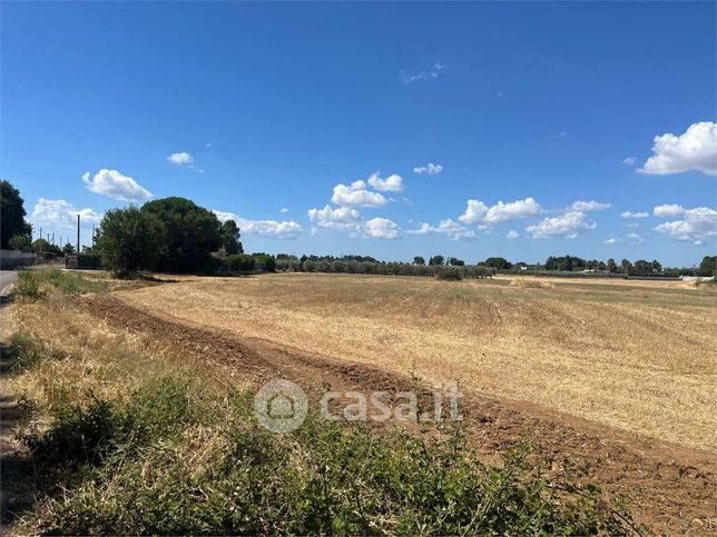 Terreno agricolo in commerciale in Contrada Monticello