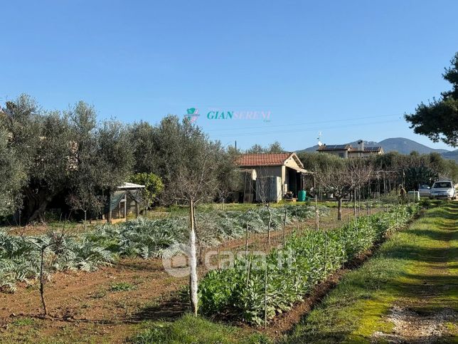 Terreno agricolo in commerciale in Via Aurelia Sud