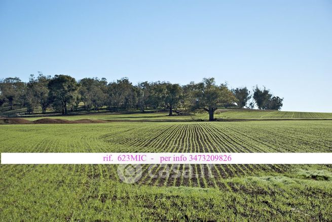 Terreno agricolo in commerciale in Via L. Lotto