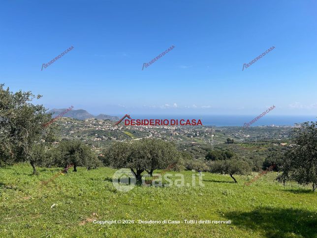 Terreno agricolo in commerciale in Via Amalfitano Santa Caterina