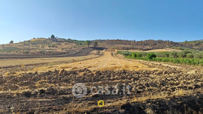 Terreno agricolo in commerciale in Strada Comunale Esterna Lamandrella