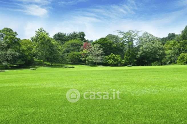 Terreno agricolo in commerciale in 