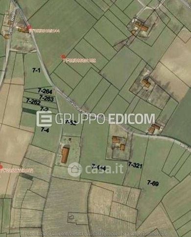 Terreno agricolo in commerciale in Strada Vicinale del Castellino
