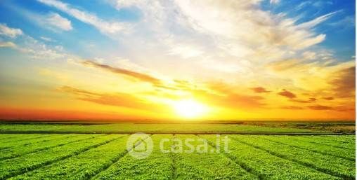 Terreno agricolo in commerciale in Via della Memoria