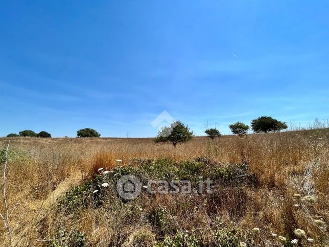 Terreno agricolo in commerciale in Via Vincenzo Diamare