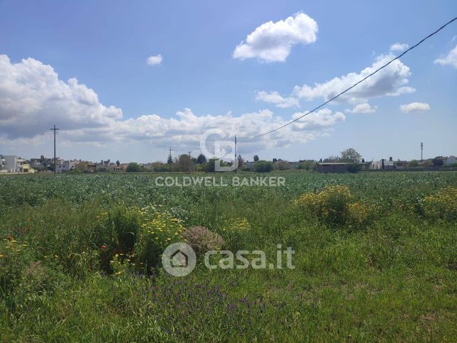 Terreno agricolo in commerciale in Via Parigi