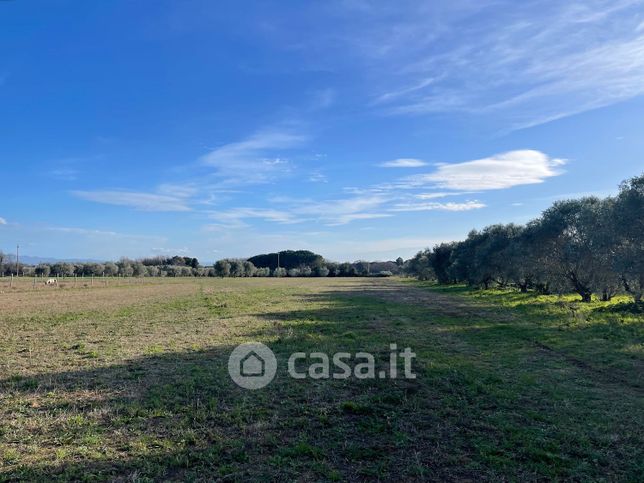 Terreno agricolo in commerciale in Via Marmentana