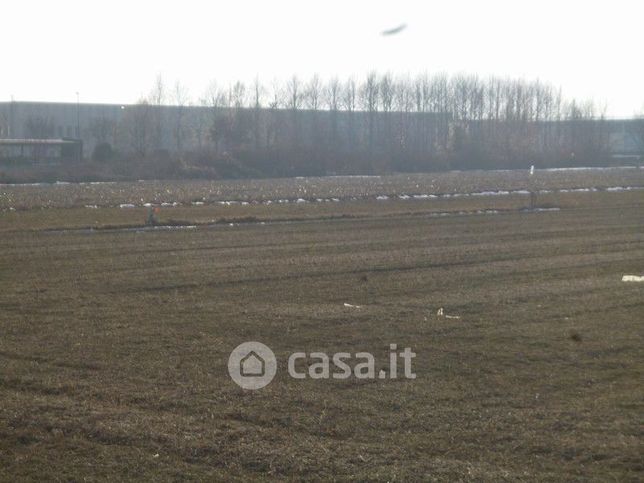 Terreno agricolo in commerciale in Frazione Casa del Bosco