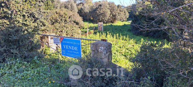 Terreno edificabile in residenziale in Strada Bassacutena - Lu Mocu