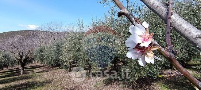 Terreno agricolo in commerciale in Via Rio Fergia