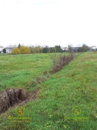 Terreno agricolo in commerciale in Via Dismano