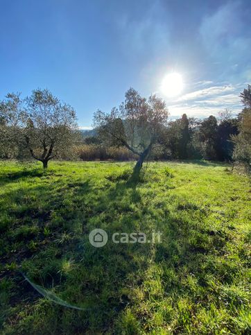 Terreno agricolo in commerciale in Via del Pino