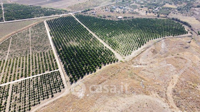 Terreno agricolo in commerciale in 
