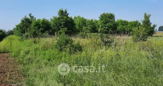 Terreno edificabile in residenziale in Strada Provinciale 462R