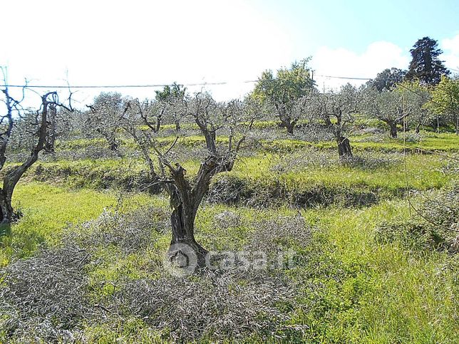 Terreno agricolo in commerciale in Via della Gacceta