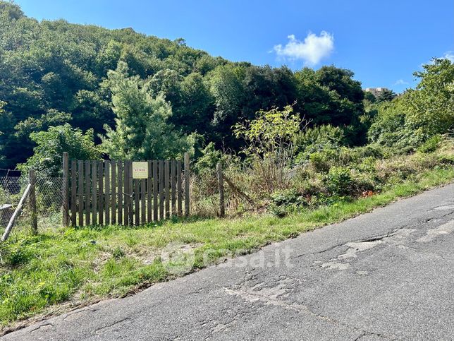 Terreno agricolo in commerciale in Via Claudia Braccianese