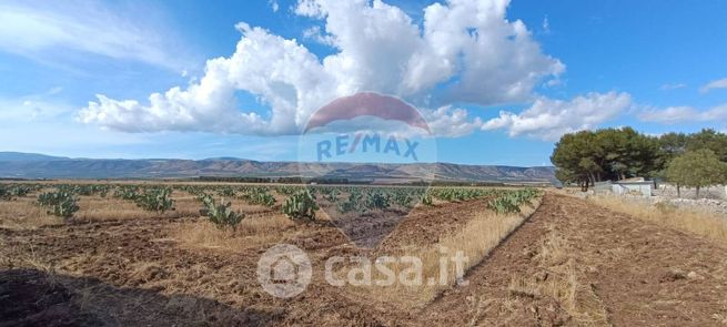 Terreno agricolo in commerciale in Strada Provinciale 58