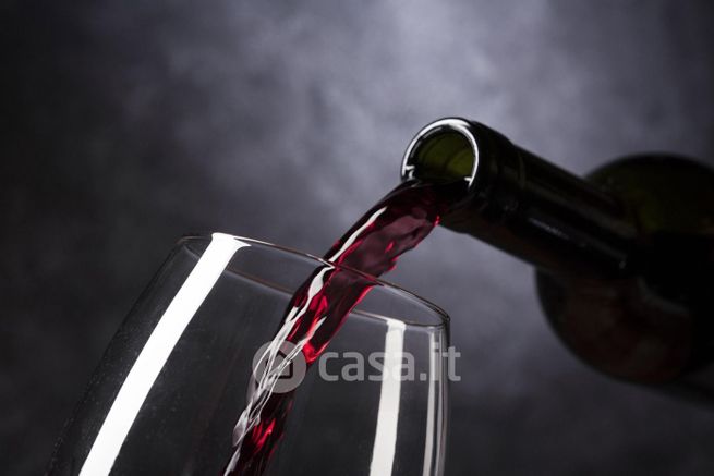 Attivitã /licenza (con o senza mura) in commerciale in Piazza San Giovanni Bosco